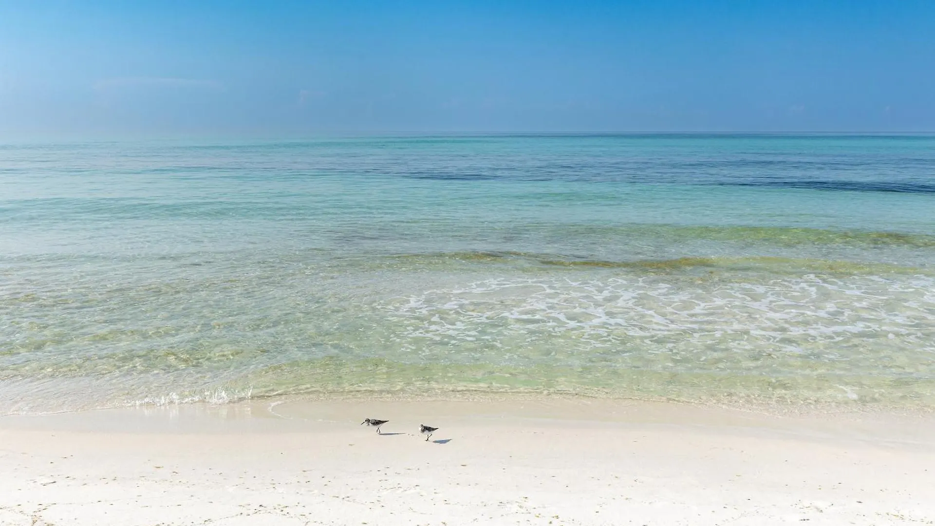 Sandpiper Cove 4117- By Holiday Isle Properties Destin